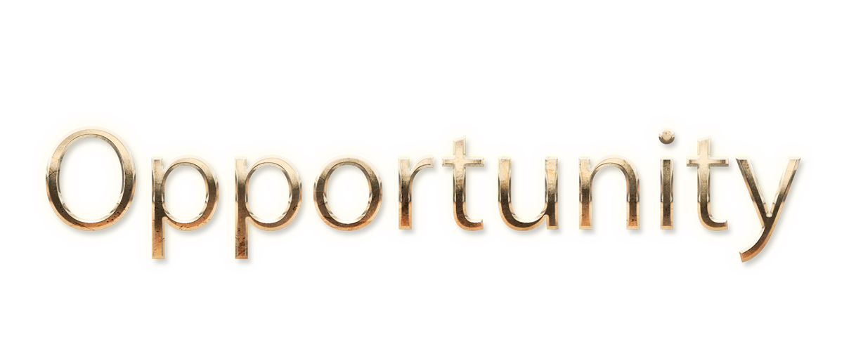 WORD OPPORTUNITY gold text typography PNG images free